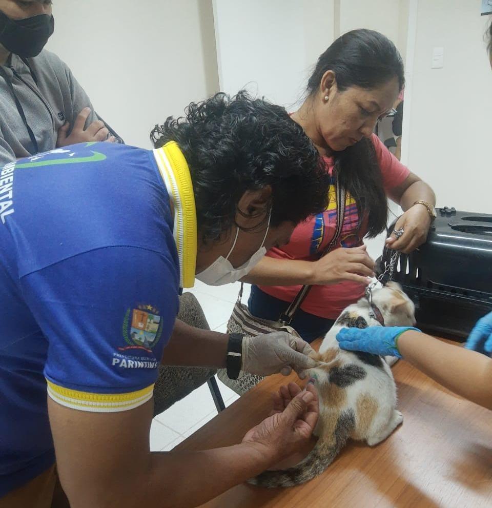 Campanha de vacinação antirrábica pretende imunizar 80% da população animal de Parintins 