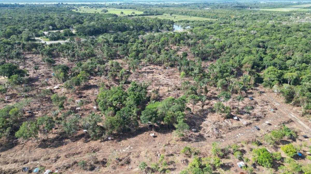 Justiça determina Reintegração de Posse em áreas ocupadas em Parintins