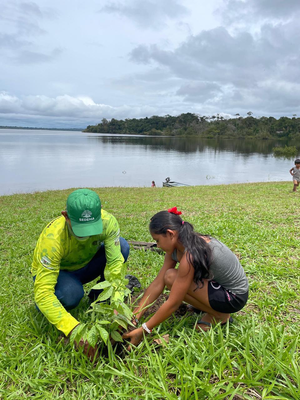Parintins sediará 1°  Encontro de Arborização do Baixo Amazonas