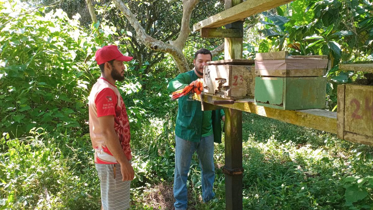 Secretaria de Produção Rural inicia acompanhamento técnico aos meliponicultores 