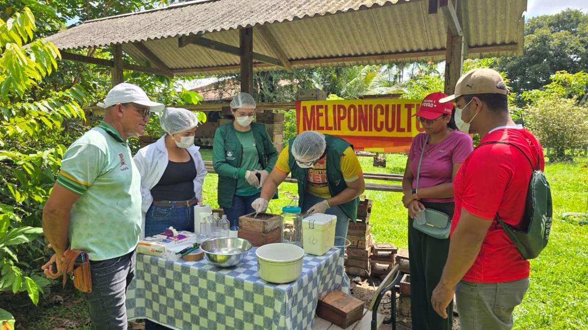 Prefeitura de Parintins apresenta resultado do incentivo à produção de mel de abelha sem ferrão
