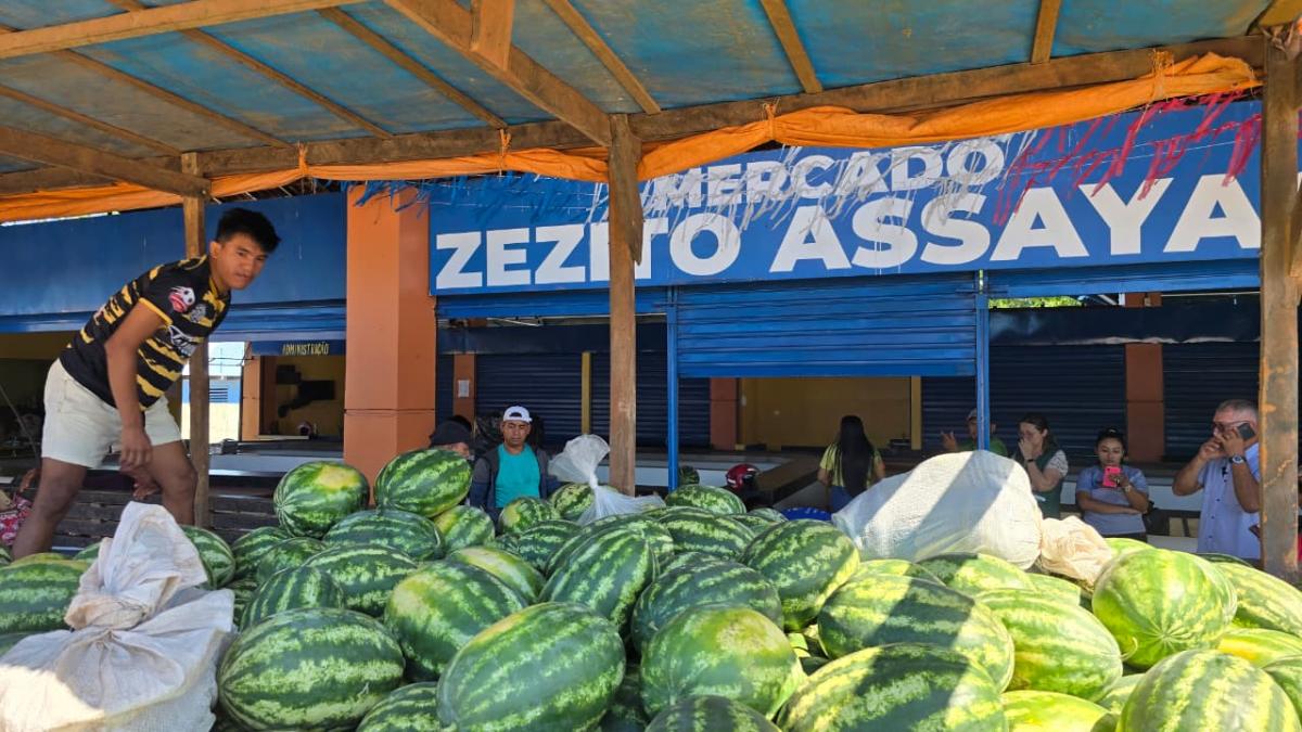 Produtores de melancia do Laguinho chegam ao Mercado Zezito Assayag com apoio da Prefeitura de Parintins