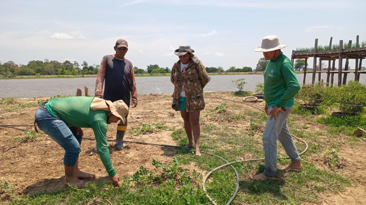 Em visita técnica no Limão de Baixo, Secretaria de Produção realiza orientações aos agricultores e criadores de gado