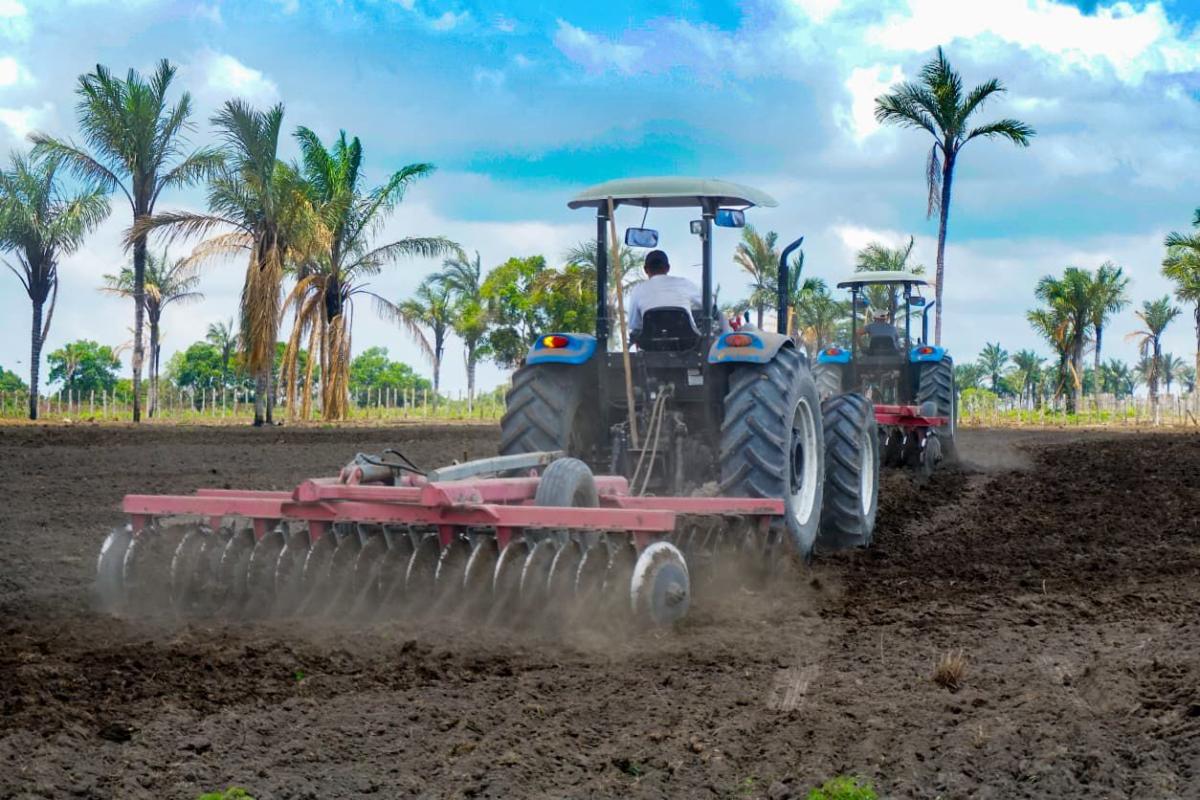 Pastagens de terra firme no Mocambo do Arari são recuperadas em ação estratégica do governo Mateus Assayag