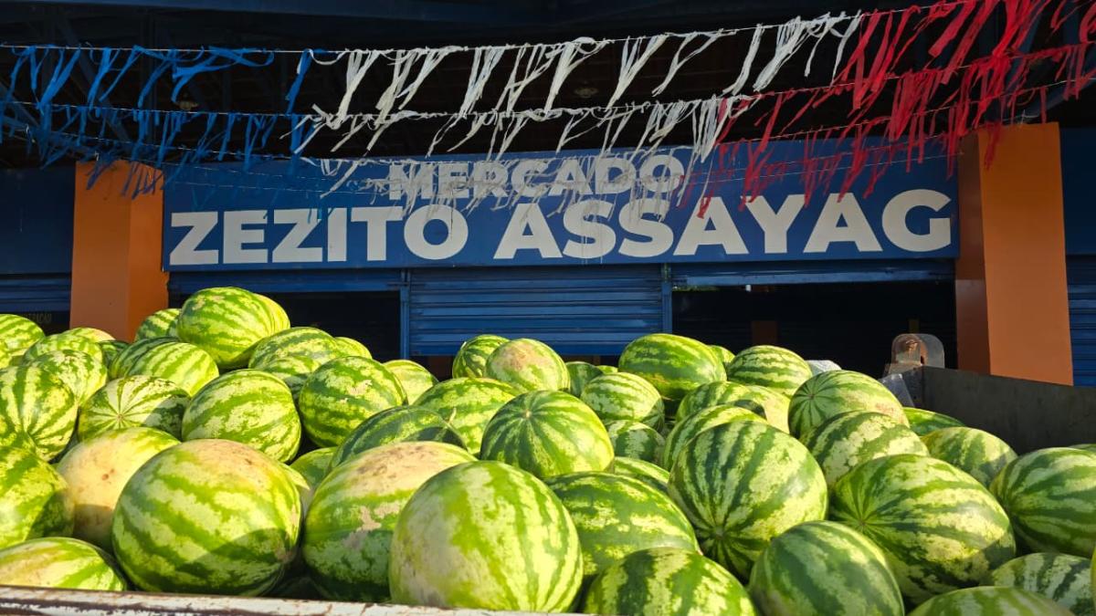 Prefeitura de Parintins assegura logística e estruturas para comercialização de melancias do interior