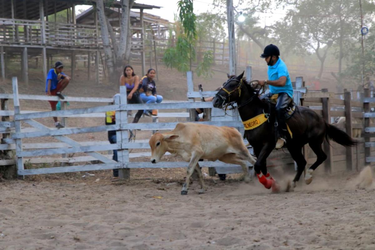 ​Prefeitura de Parintins e Associação dos Pecuaristas anunciam moto e R$ 14 mil para vencedores do laço na 38ª Expopin