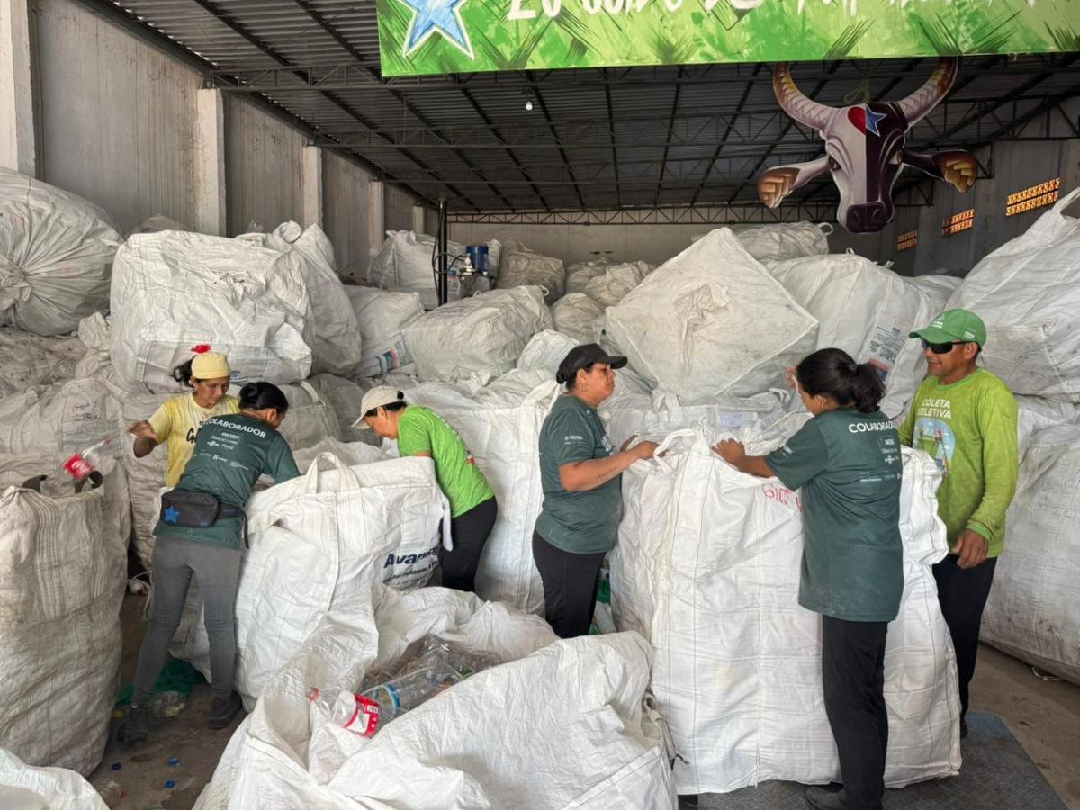 Dez toneladas de garrafas PET coletadas em Parintins no projeto “Escola que Recicla”