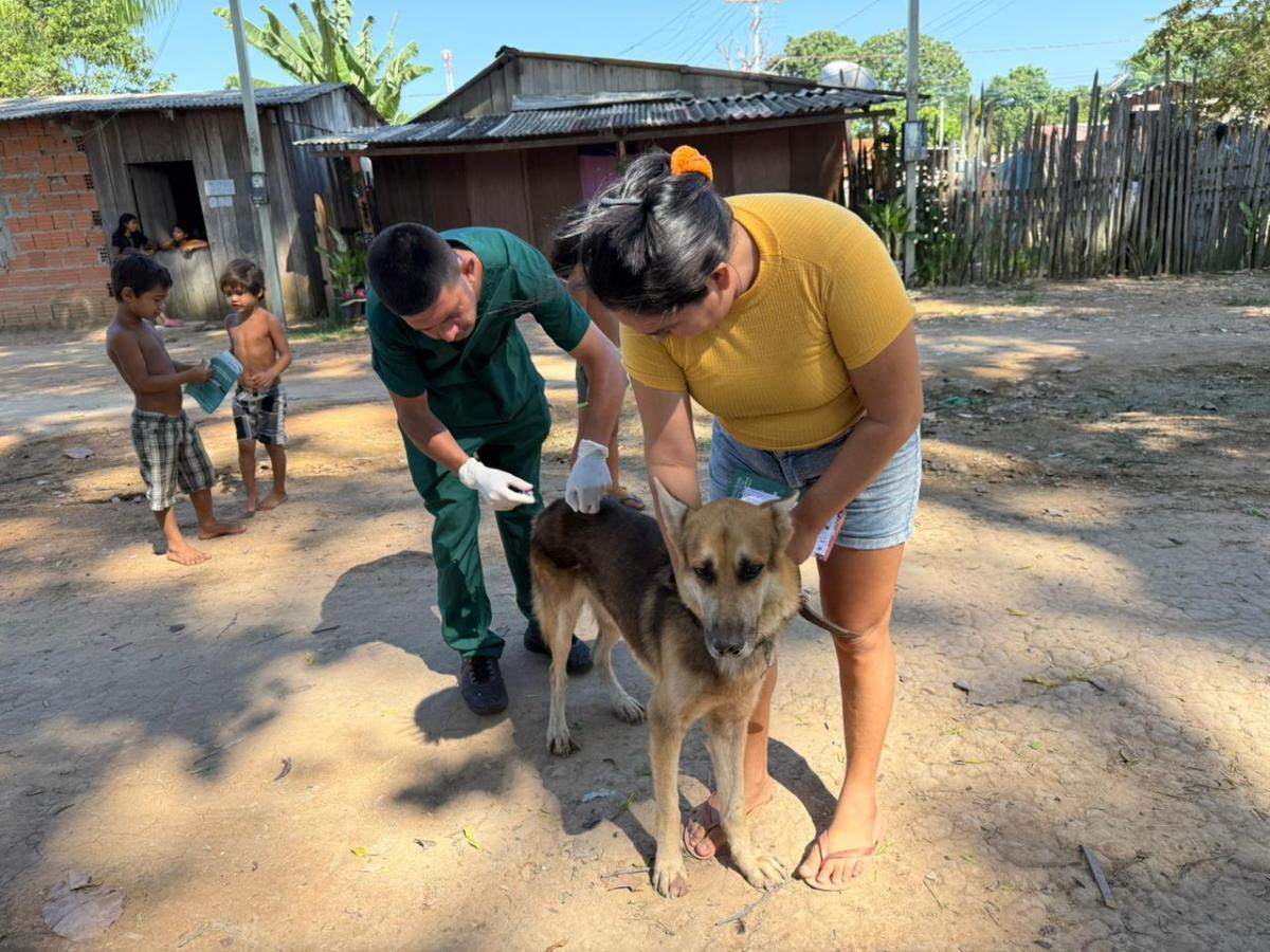 Semana Municipal de Combate aos Maus Tratos e Abandono de Animais encerra com ação no bairro do Castanhal em Parintins 