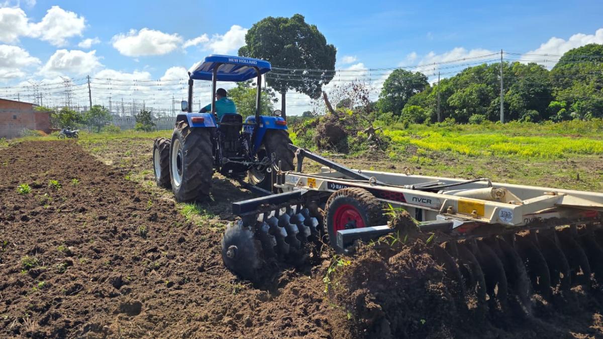 Prefeitura de Parintins prepara novas áreas de pastagens para pecuária leiteira na Ilha Tupinambarana