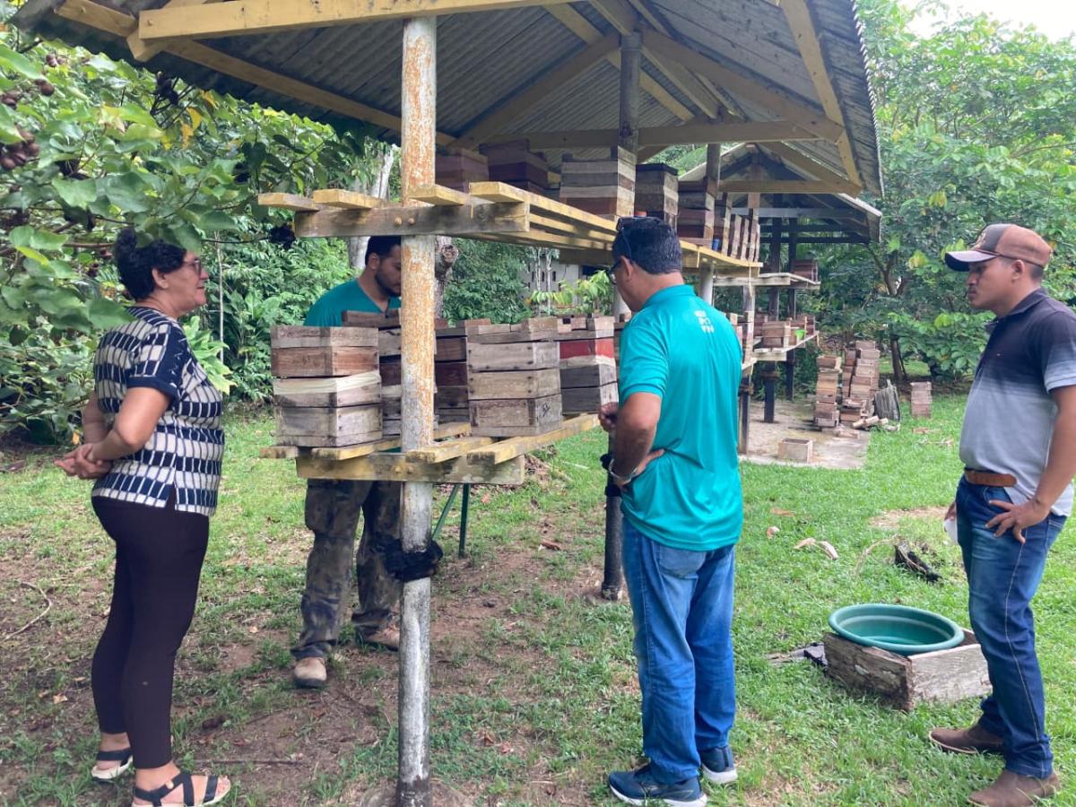 Programa de meliponicultura com foco no aumento da produção de mel é ampliado pela Prefeitura de Parintins