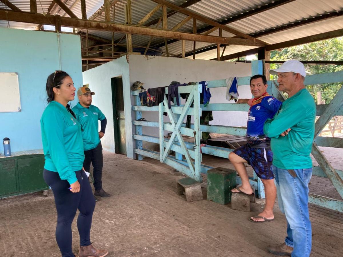 Prefeitura de Parintins viabiliza mecanização agrícola e apoio técnico para fazenda produtora de queijos bubalinos