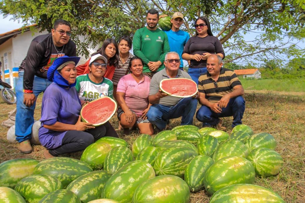 Produtores da Vila Amazônia têm acompanhamento técnico da Prefeitura de Parintins com Centro de Formação e Experimentação de Tecnologia