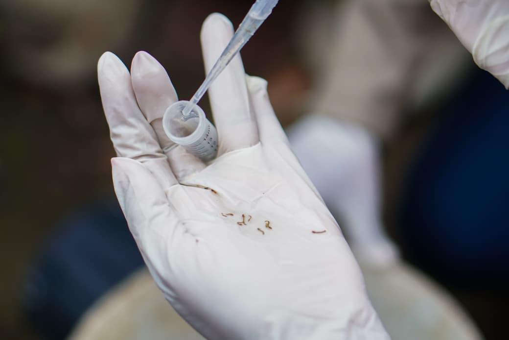 Prefeitura de Parintins reforça ações no combate à dengue, zika e chikungunya