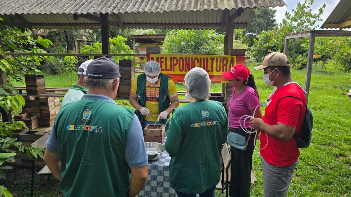 Encontro com criadores de abelhas impulsiona meliponicultura em Parintins