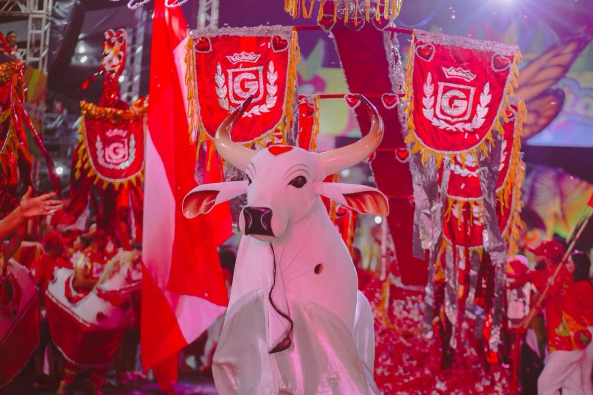 Garantido intensifica preparativos para Carnaboi 2026 em Parintins