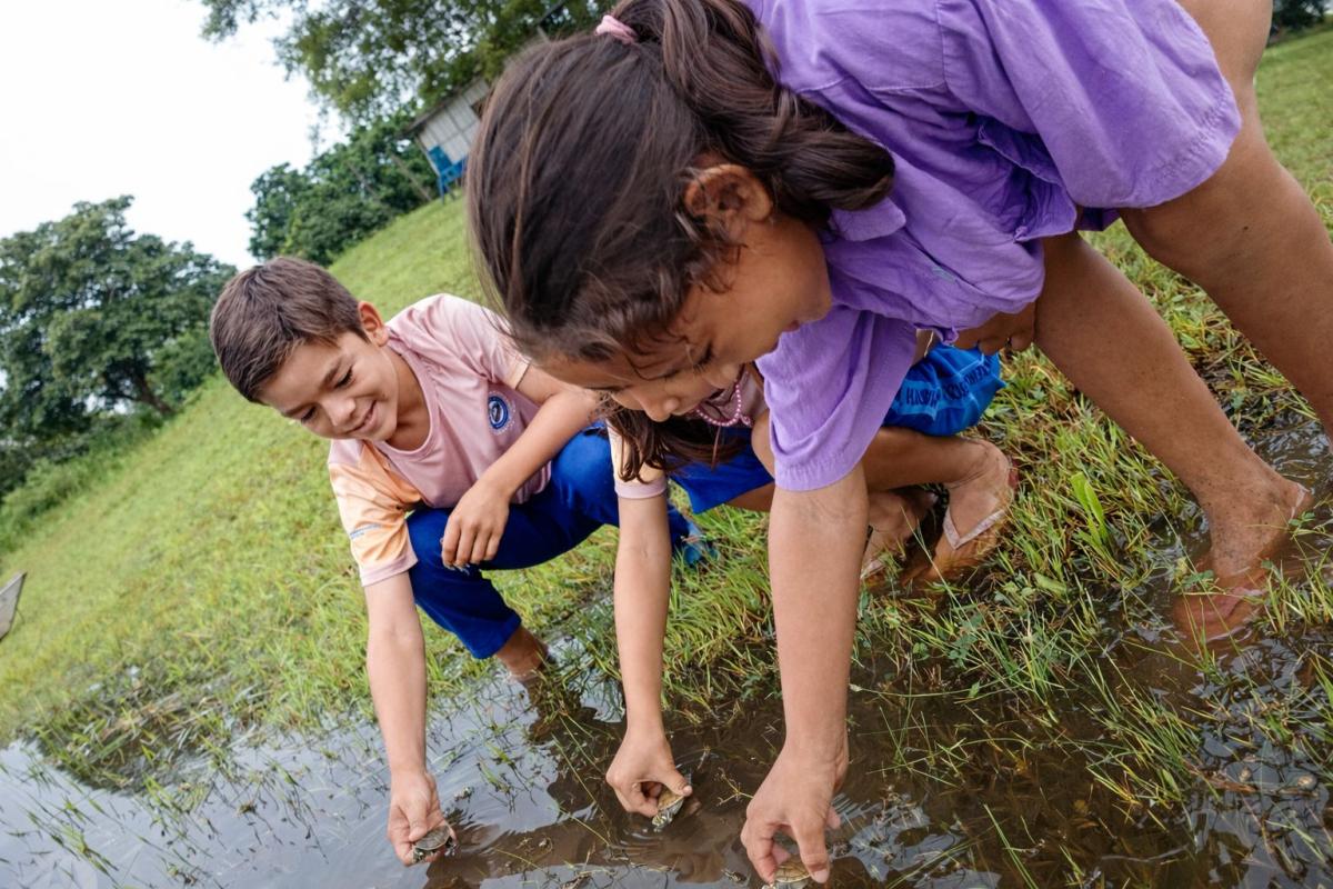 Projeto socioambiental une escola e comunidade em soltura de quelônios na comunidade Vila Nova