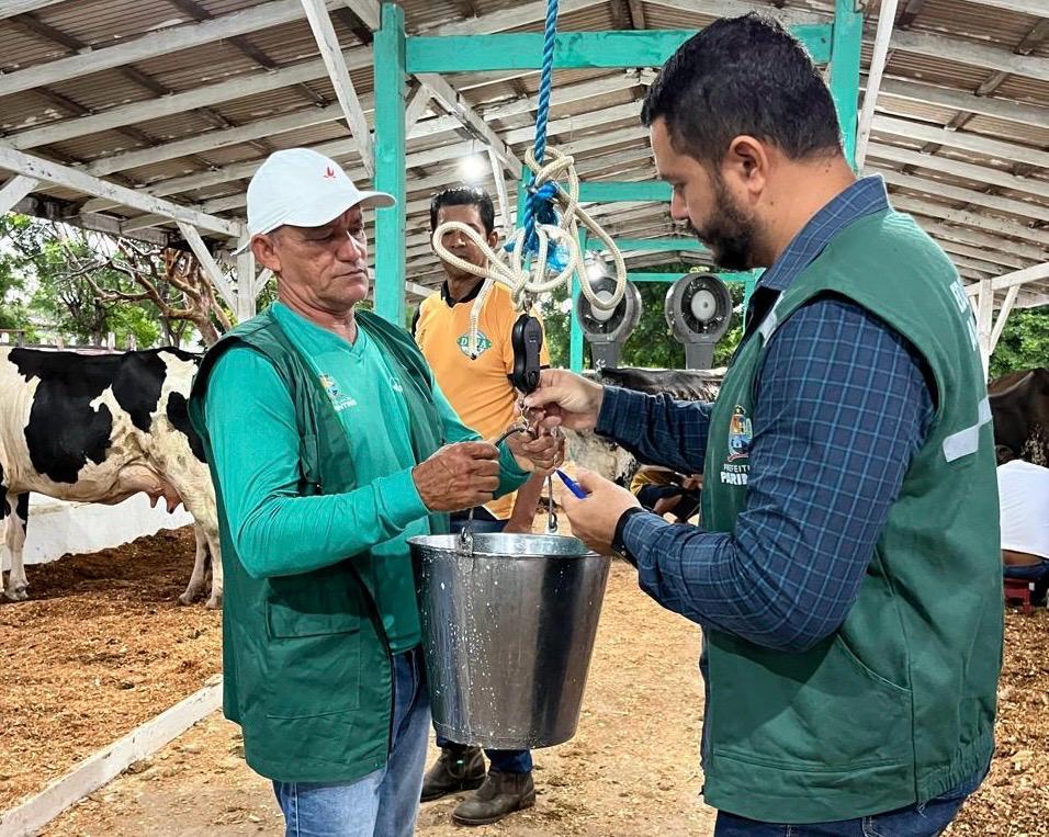 Parceria entre Prefeitura de Parintins e UFAM pretende aperfeiçoar produção de leite e derivados no município