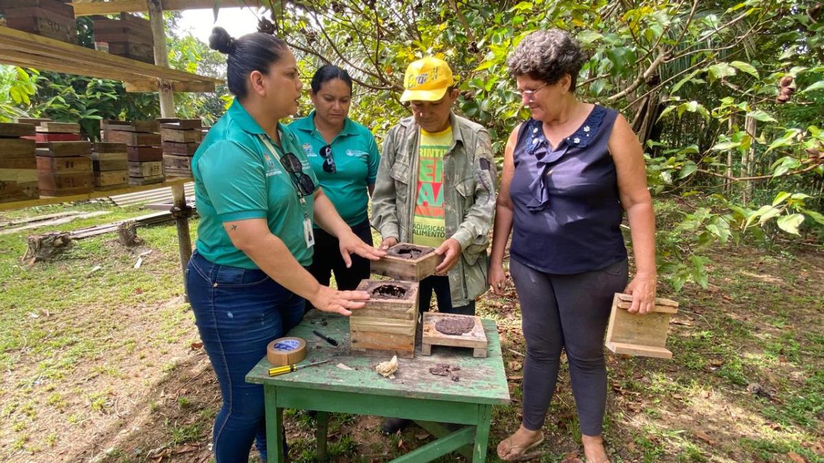 Criadores de abelha sem ferrão recebem orientação técnica para impulsionar produção de mel em Parintins