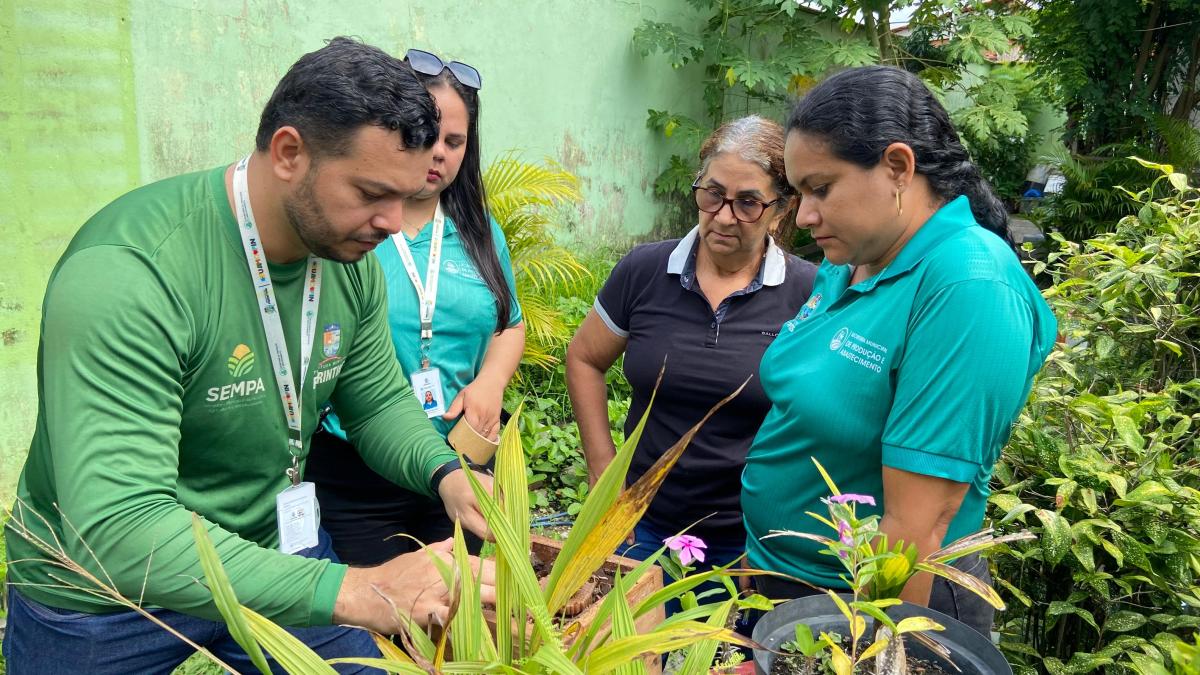 Técnicos da Prefeitura de Parintins e IPAAM buscam regularização ambiental de produtores de mel