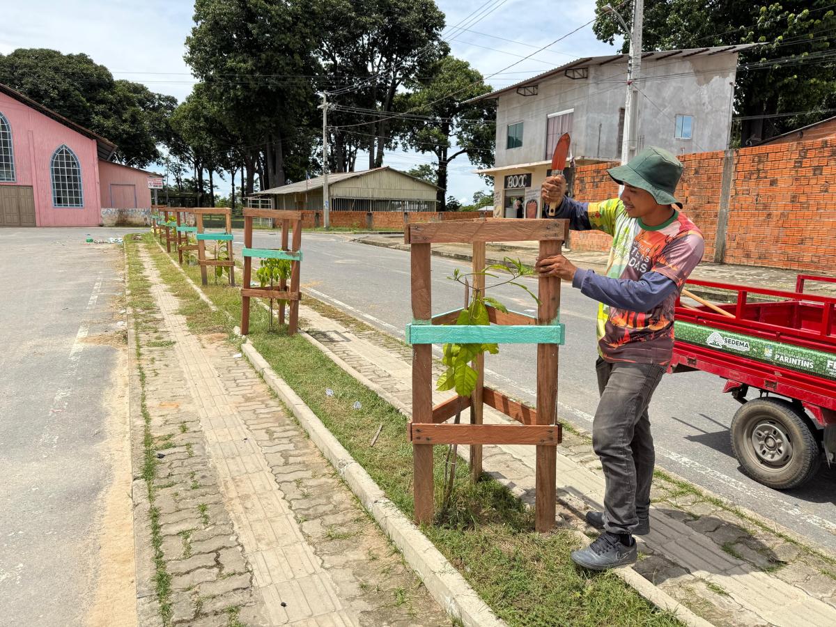 Projeto de arborização transforma espaços públicos e melhora qualidade de vida em Parintins