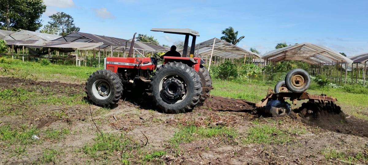 Prefeitura de Parintins disponibiliza acompanhamento técnico para produtor de hortaliças na Vila Amazônia
