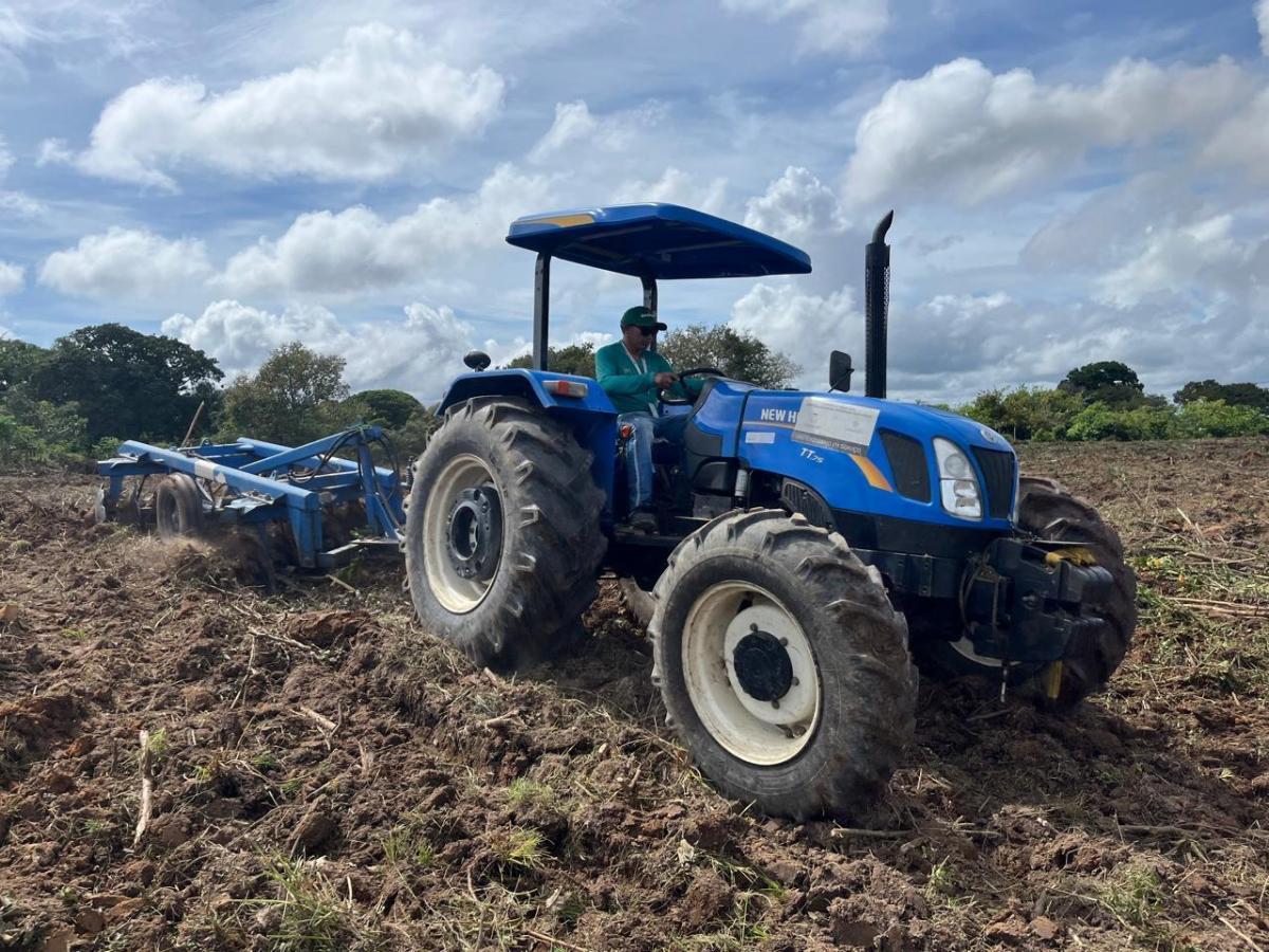 Mecanização agrícola da Prefeitura de Parintins incentiva produtor na criação de pastagem para rebanho
