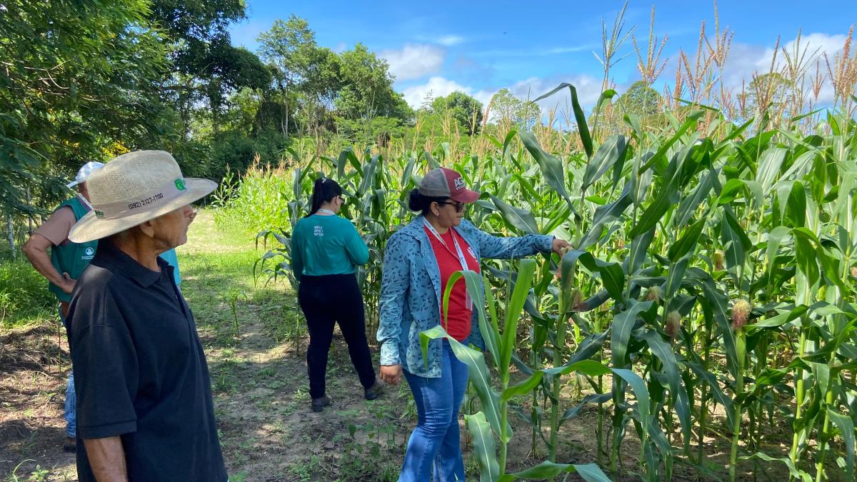 Produtor da Agricultura Familiar recebe assistência, logística e estrutura da Prefeitura de Parintins