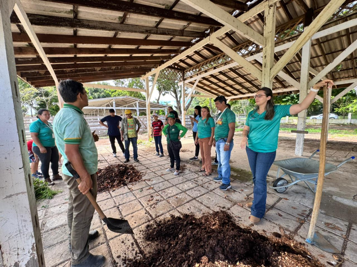 Quintais Produtivos: Para fortalecer a produção de hortaliças, Prefeitura de Parintins promove capacitação no município