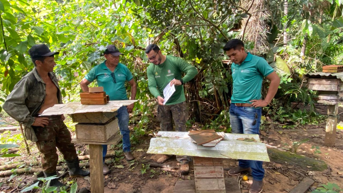 Produção de mel: Prefeitura de Parintins incentiva cadeia produtiva da meliponicultura