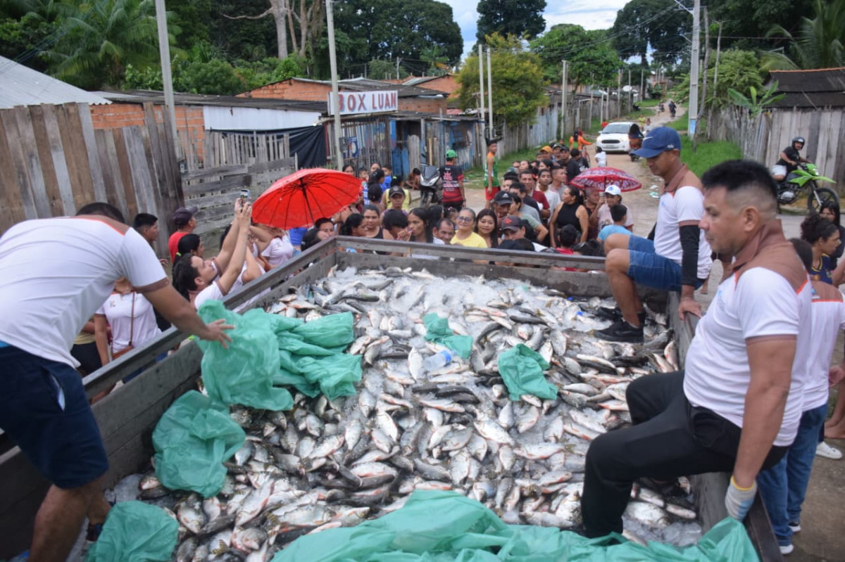 Prefeitura de Parintins entrega duas toneladas de pescado para famílias em vulnerabilidade social no Bairro Castanhal