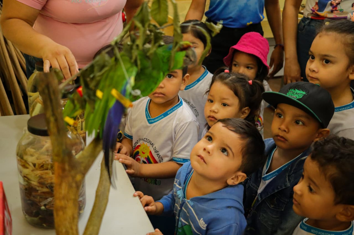 Parceria entre CEI Novo Horizonte e SEDEMA promove aprendizado sobre fauna, flora e preservação
