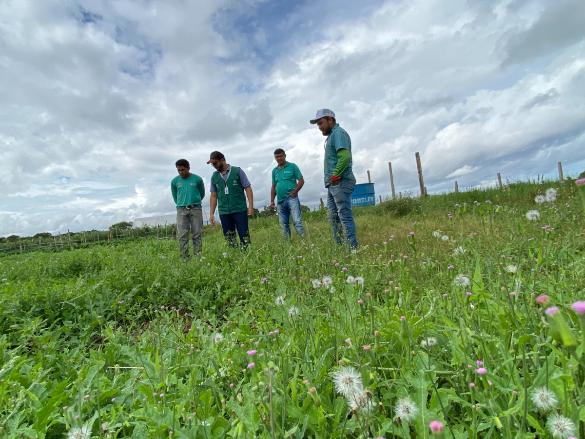 Prefeitura de Parintins investe em assistência técnica para potencializar setor primário