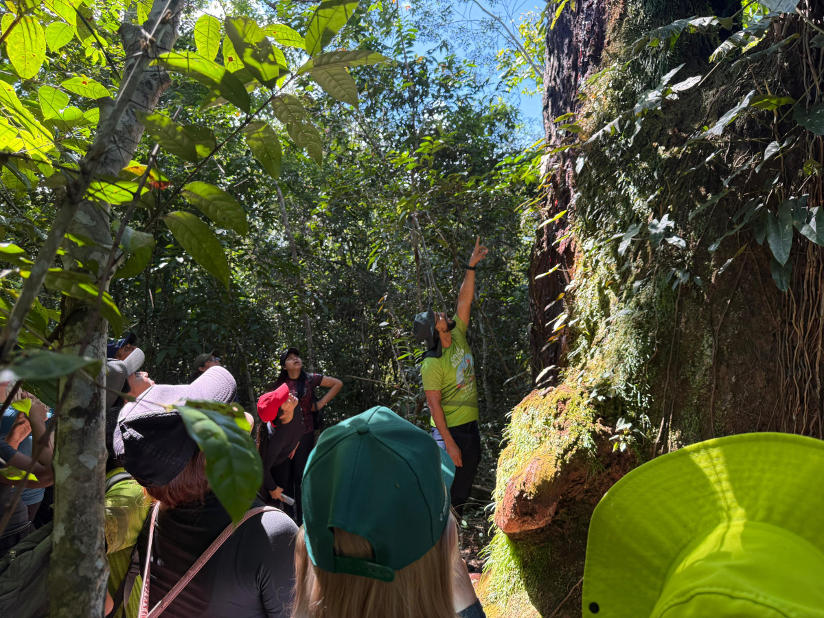 Prefeitura de Parintins fortalece ecoturismo com formação de condutores de trilhas