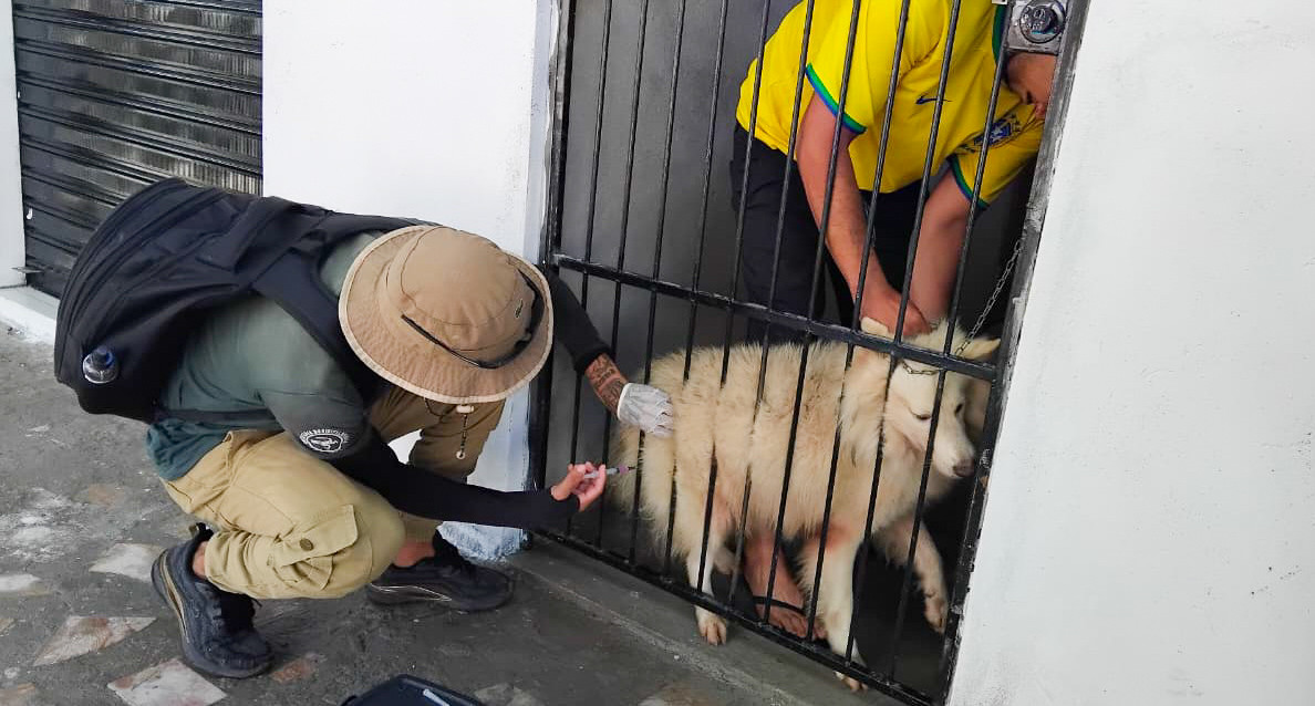 Vacinação antirrábica segue cronograma e atende bairros de Parintins