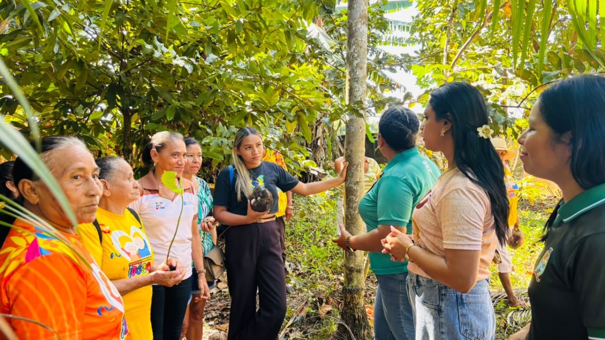Prefeitura de Parintins prepara a implantação de hortas comunitárias nos CRAS União e Vila Amazônia para fortalecer segurança alimentar