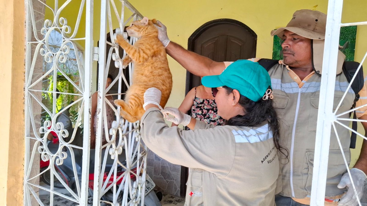 Residencial Parintins receberá campanha de vacinação antirrábica na próxima semana