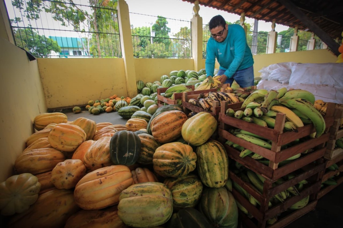 Agricultura familiar de Parintins produziu mais de 37 toneladas de alimentos ao Programa de Aquisição de Alimentos
